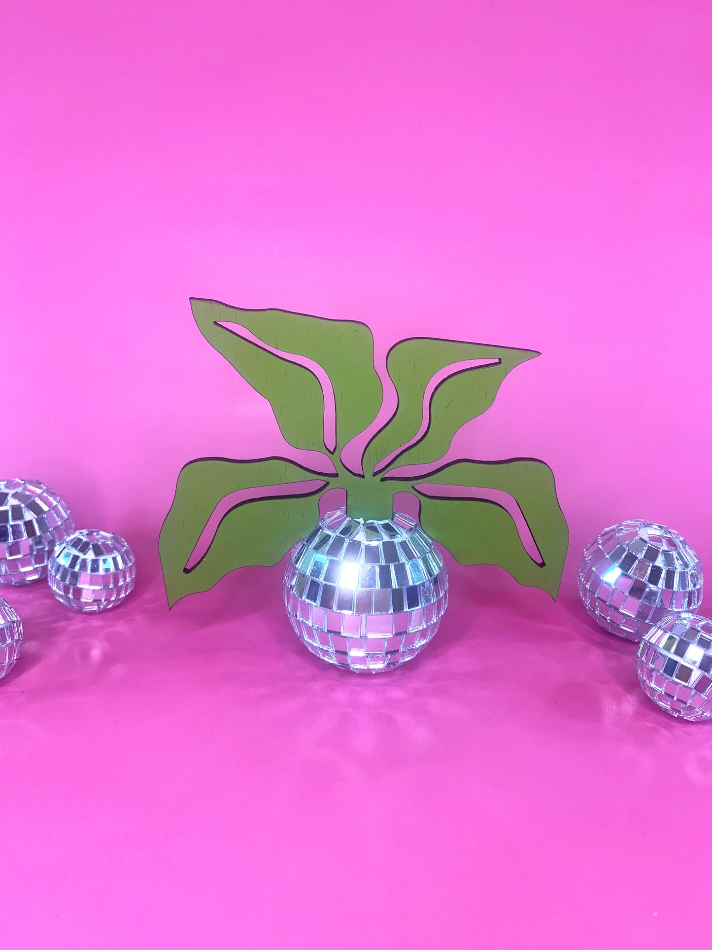 Hanging Disco Plants