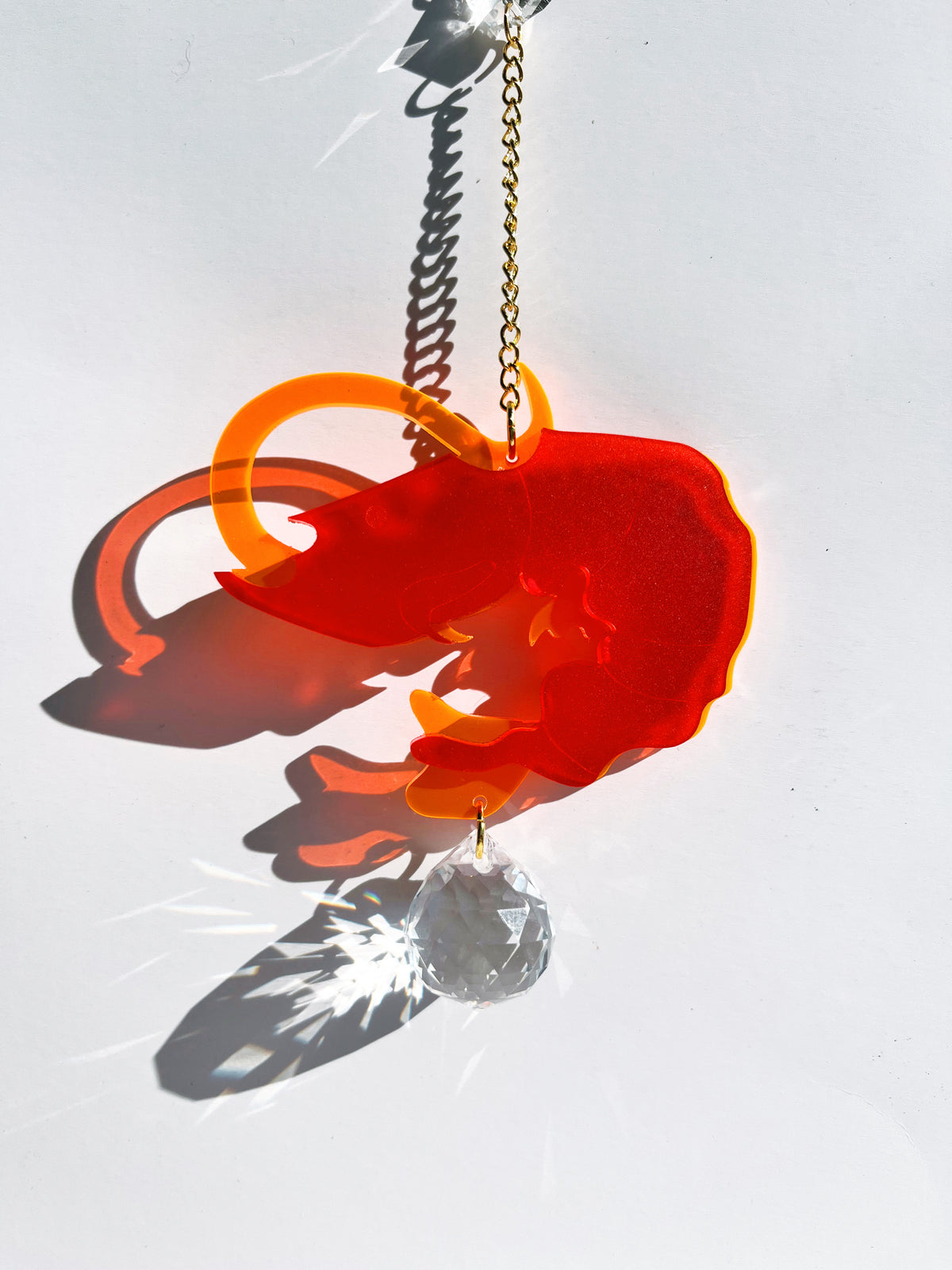 Shrimp Sun Catcher
